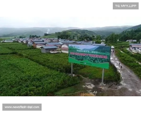 洪湖体校冠军效应引发地方投资 热点训练基地扩建项目正式启动 洪湖体校冠军效应引发地方投资 热点训练基地扩建项目正式启动