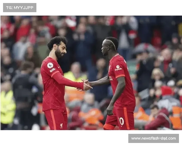 帕德博恩点球大战淘汰霍芬海姆,晋级德国杯下一轮 帕德博恩点球大战淘汰霍芬海姆,晋级德国杯下一轮